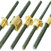 TM Screw